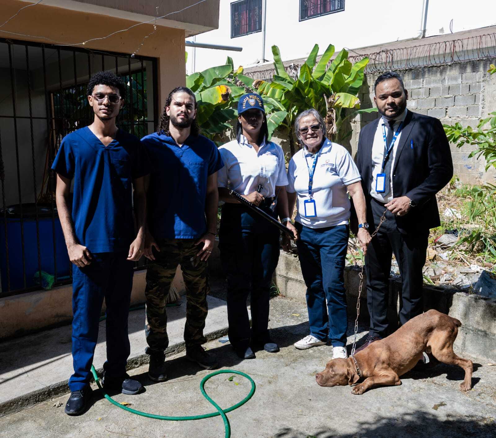 Lee más sobre el artículo Ayuntamiento de Santiago rescata perro víctima de maltrato con perdigones